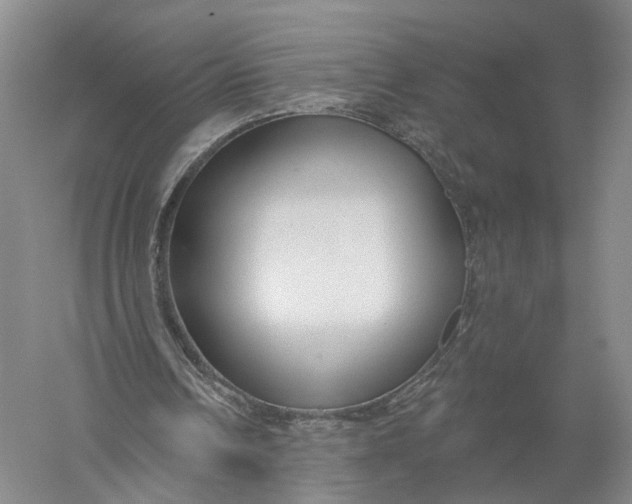 X0000056310242200509231928