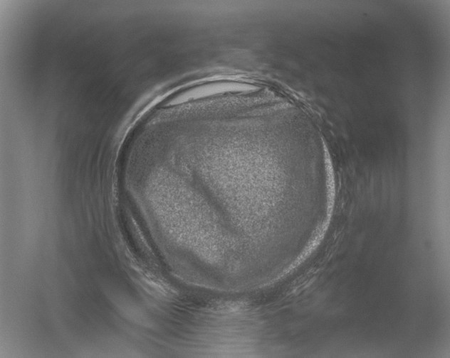 X0000056310247200509231928