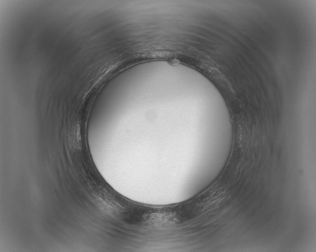 X0000056310251200509231928