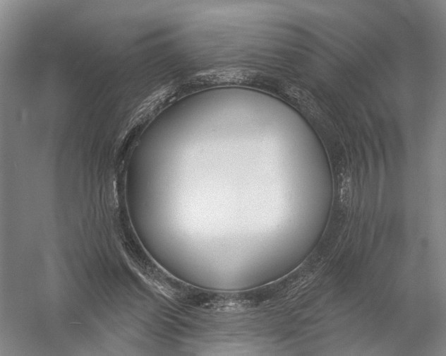 X0000056310254200509231928