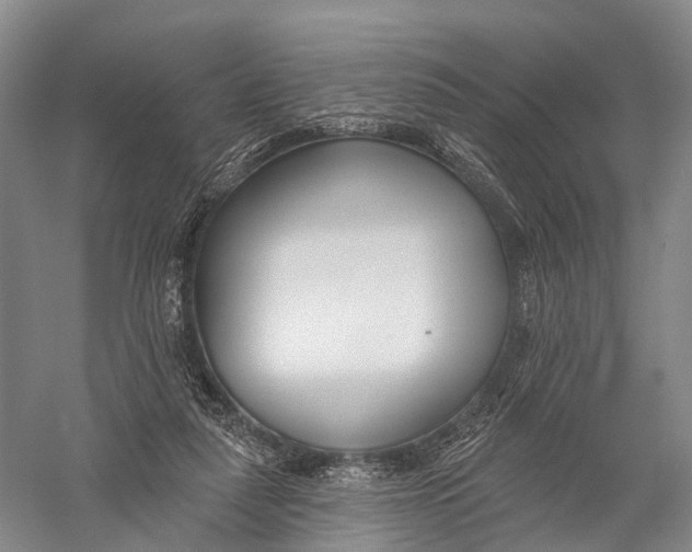 X0000056310259200509231928
