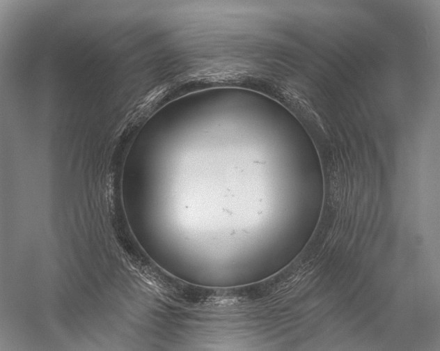 X0000056310260200509231928