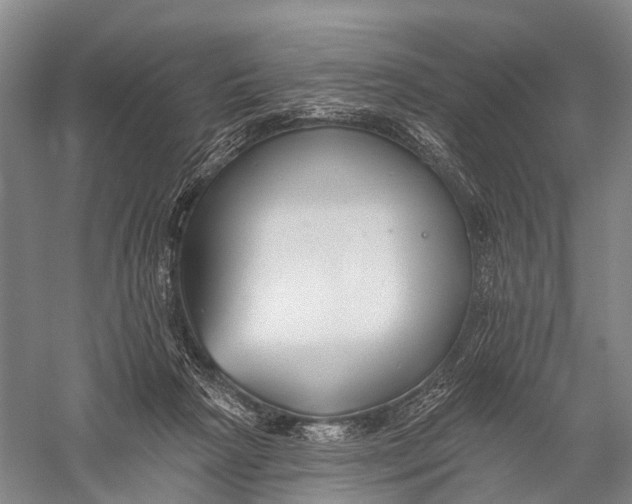 X0000056310265200509231928