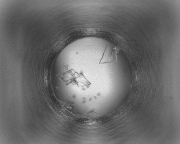 X0000056310267200509231928