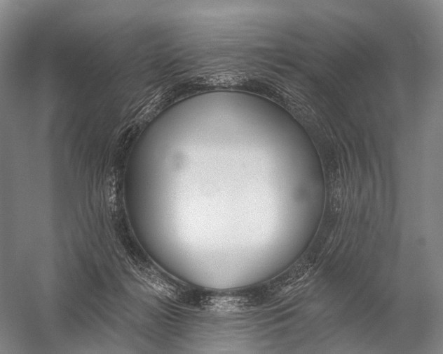 X0000056310268200509231928