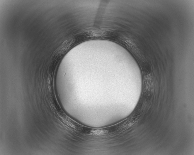X0000056310269200509231928