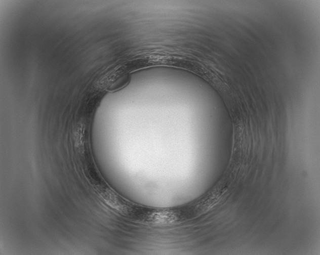 X0000056310275200509231928