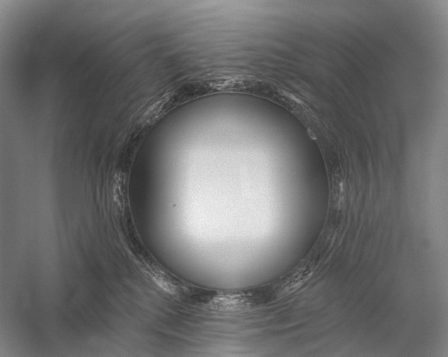 X0000056310280200509231928