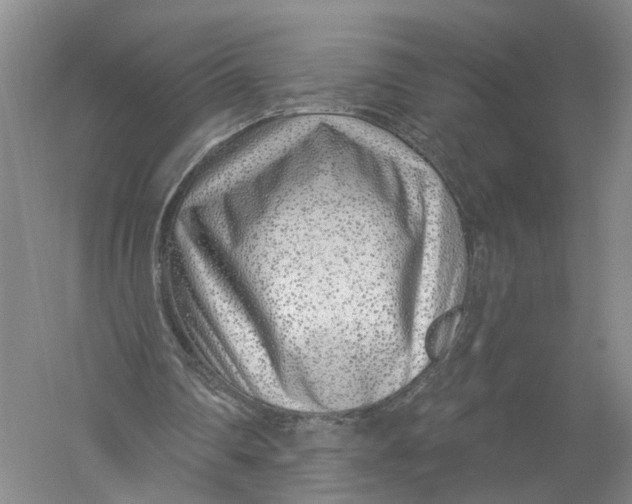 X0000056310290200509231928
