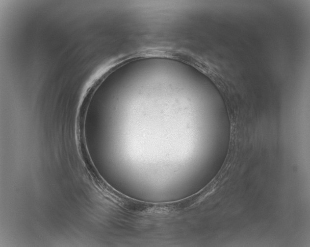 X0000056310294200509231928