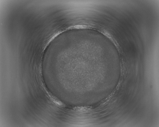 X0000056310297200509231927