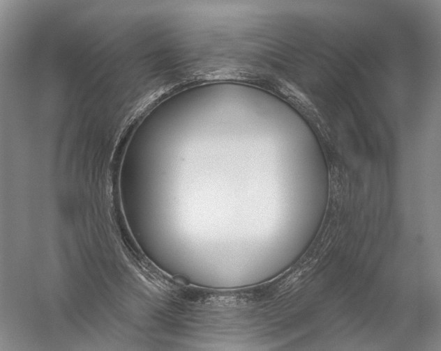 X0000056310298200509231927