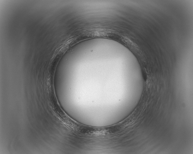 X0000056310306200509231927