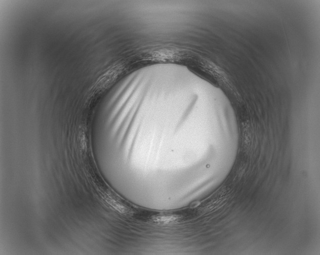 X0000056310313200509231927