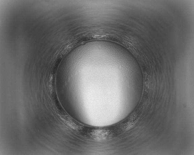 X0000056310319200509231927