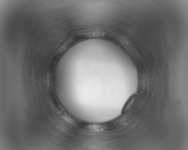 X0000056310326200509231927