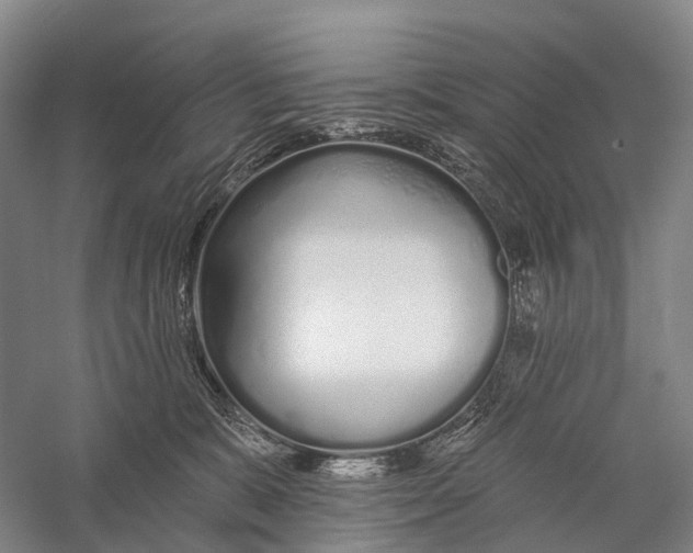 X0000056310327200509231927