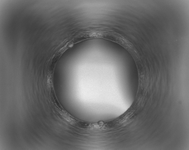 X0000056310329200509231927