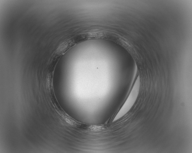 X0000056310333200509231927