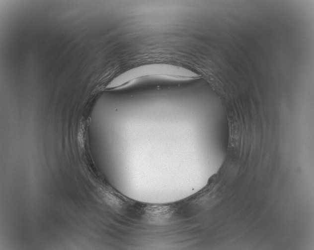 X0000056310334200509231927