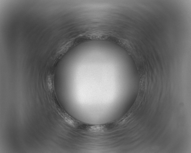 X0000056310335200509231927