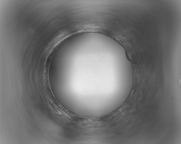 X0000056310338200509231926