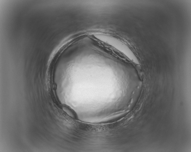 X0000056310343200509231926