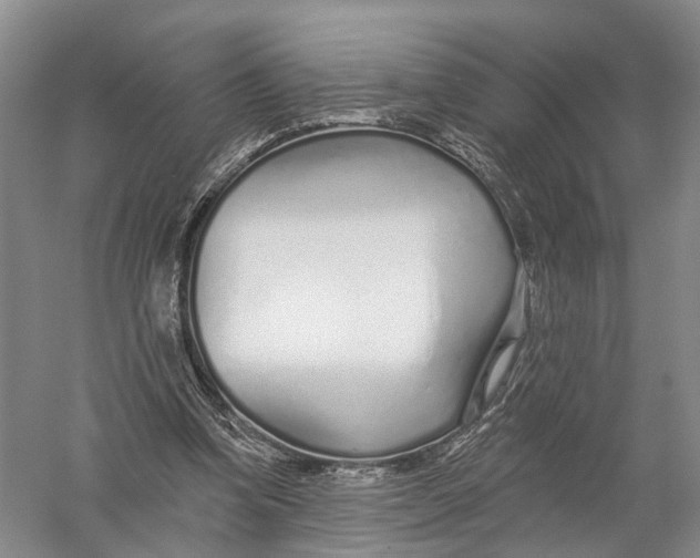 X0000056310346200509231926
