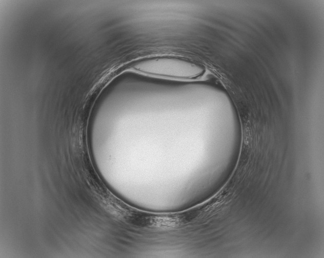 X0000056310347200509231926