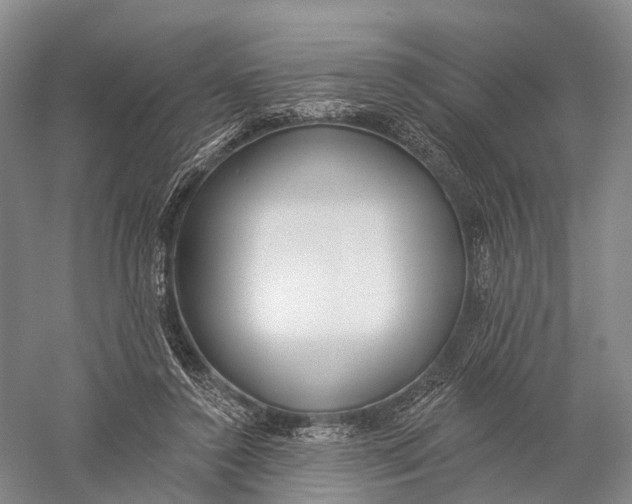 X0000056310356200509231926