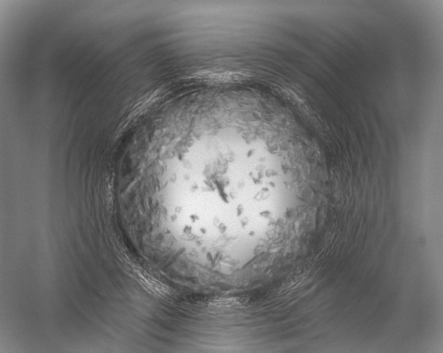 X0000056310357200509231926