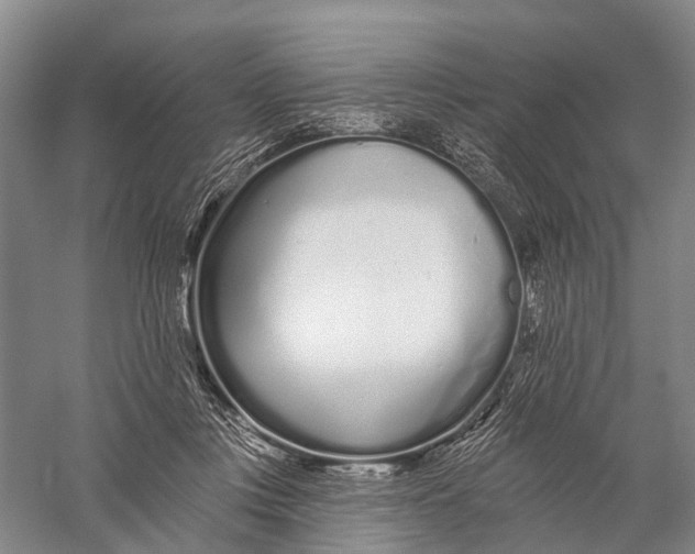 X0000056310359200509231926