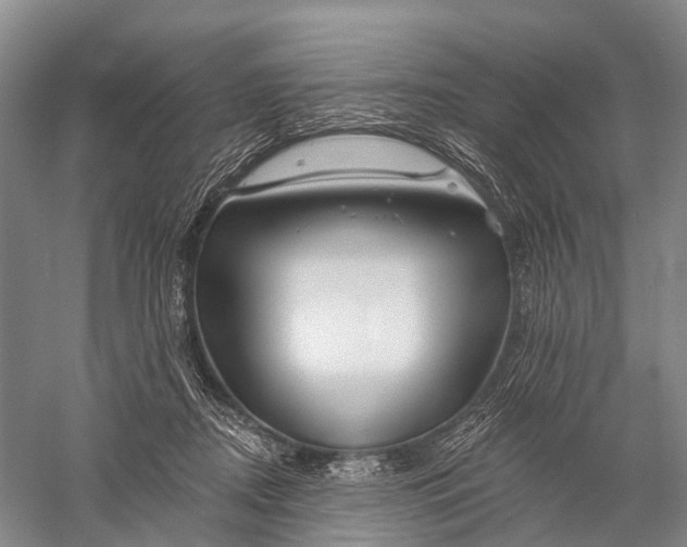 X0000056310362200509231926