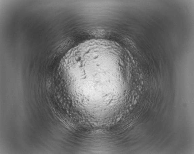 X0000056310365200509231926