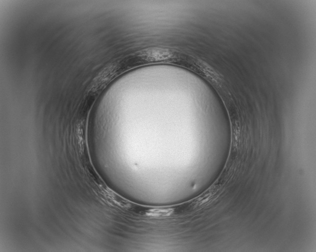 X0000056310373200509231927