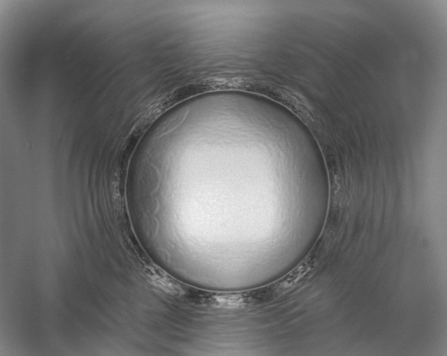 X0000056310377200509231927