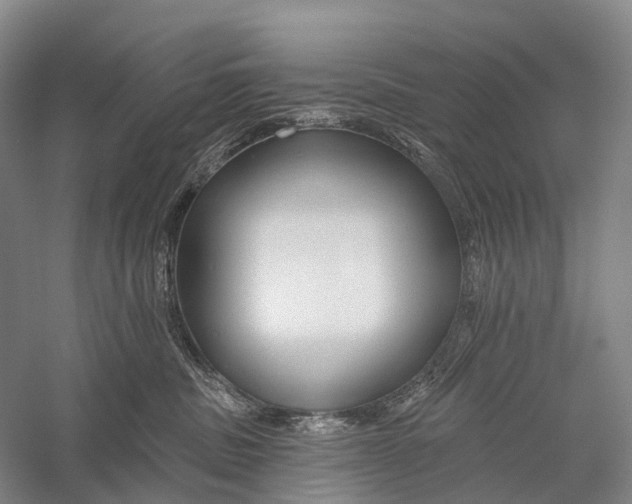 X0000056310379200509231927