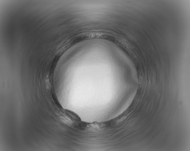 X0000056310381200509231927