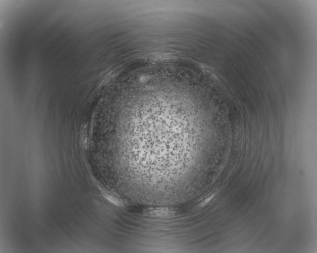 X0000056310383200509231927