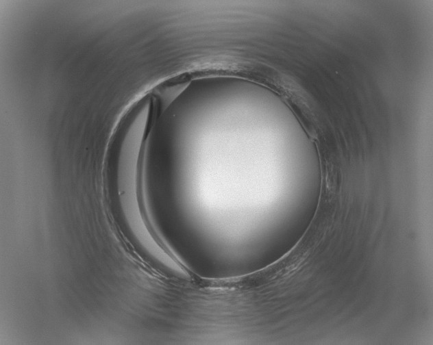 X0000056310388200509231926