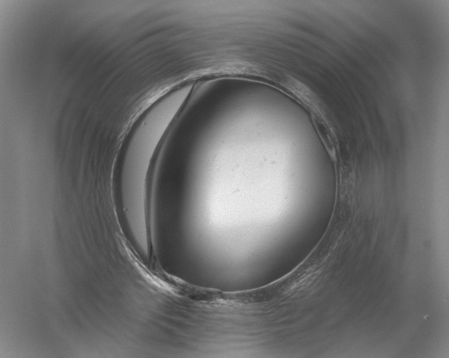 X0000056310389200509231926