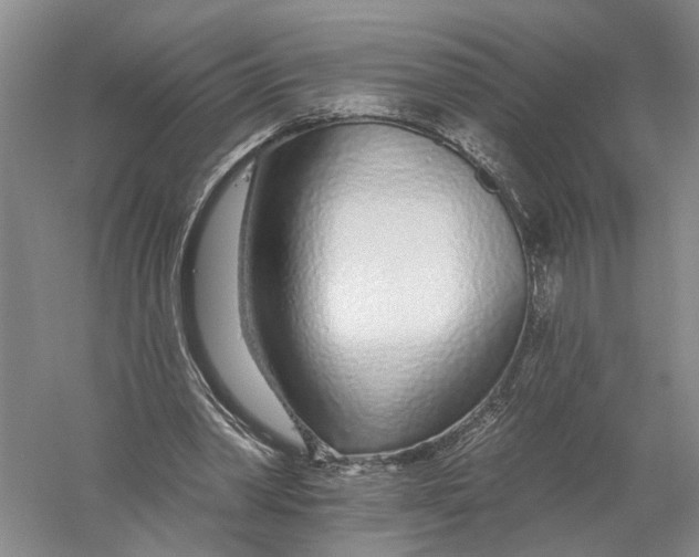 X0000056310390200509231926