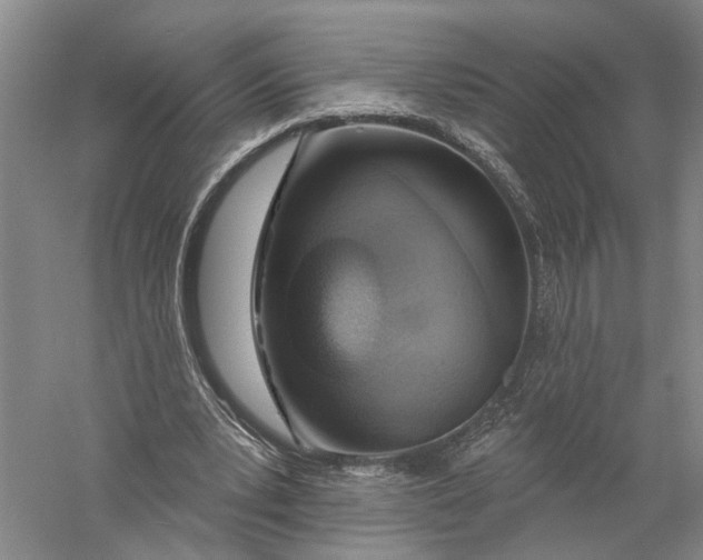 X0000056310391200509231926