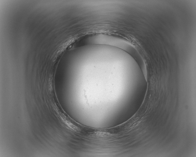 X0000056310393200509231926