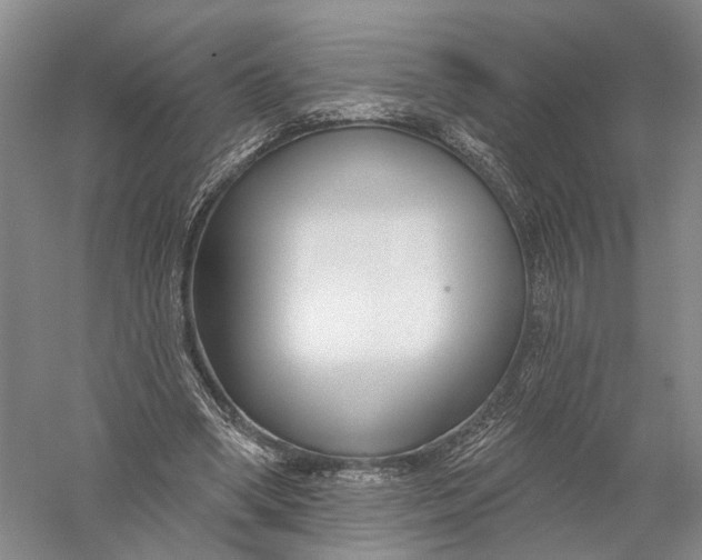 X0000056310394200509231926