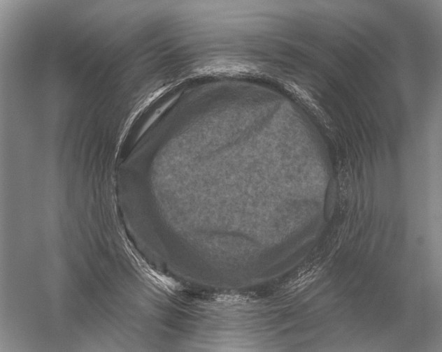 X0000056310399200509231926
