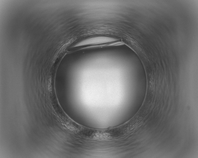 X0000056310403200509231926