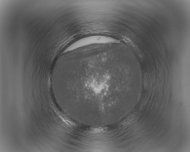 X0000056310405200509231926