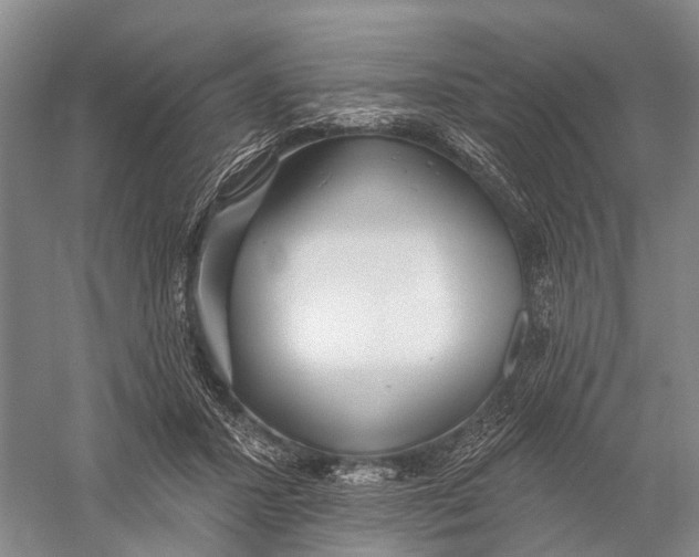 X0000056310407200509231926