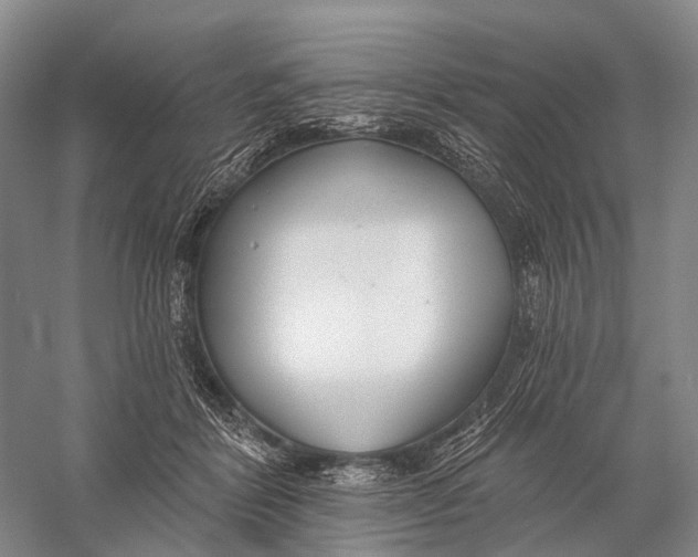 X0000056310412200509231925